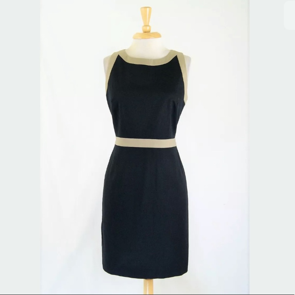 T Tahari Colorblock Cotton Stretch Sheath Dress 8